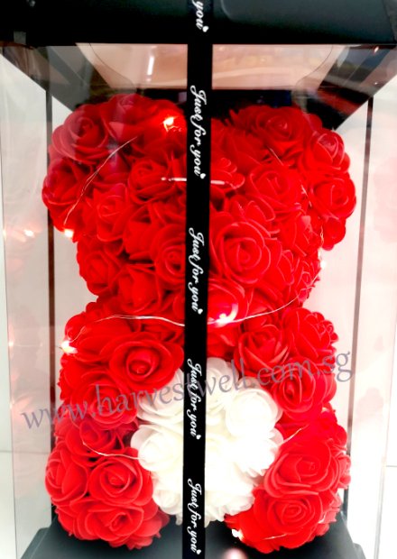 Hot Air Balloon Red Rose Teddy Bear Singapore