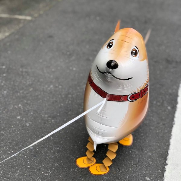 Shiba Inu Walking Pet Balloon