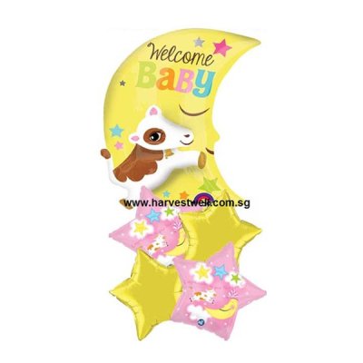 Congrats On Your New Baby Girl Multi Balloon Package Singapore