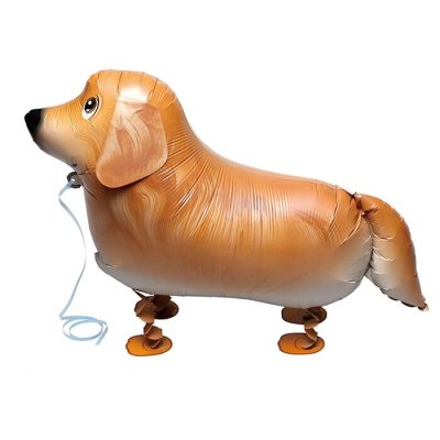 Golden Retriever Walking Pet Balloon Singapore