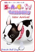 osampo pet balloon - wholesale