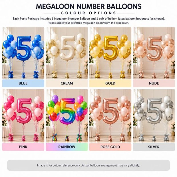 Balloon Twisting + Helium Balloon Party Package Singapore