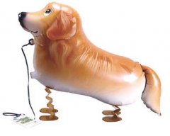 Walking Pet Dog Balloon - Retriever