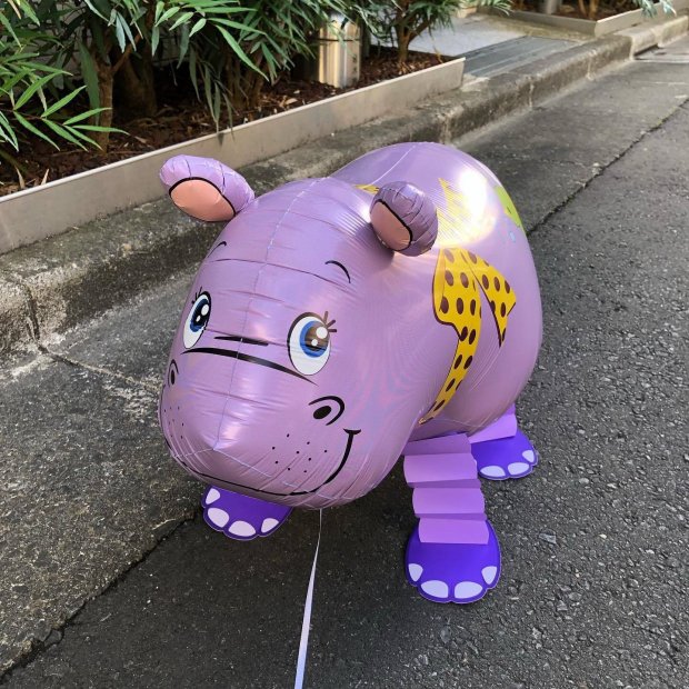 Hippo Walking Pet Balloon Singapore