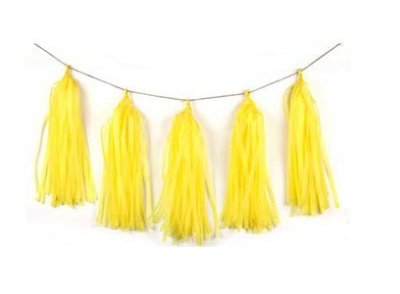 Yellow Tissue Tassel Garland Singapore