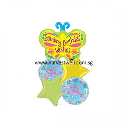 HBD Pink Butterfly Balloon Package