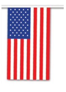 american flag pennant banner