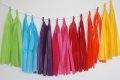 Customize Colour Tassel Garland