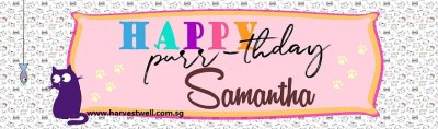 Kitty Cat Purr-thday Customized Banner Singapore