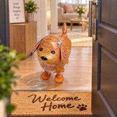 Toy Poodle Walking Pet Balloon