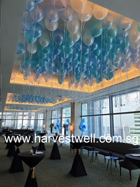 Un-inflated Pearl Gloss Latex Balloon Singapore