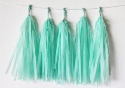 Mint Green Tissue Tassel Garland Singapore