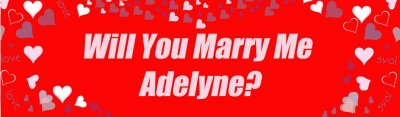 Will You Marry Me Red Customized Banner Singapore
