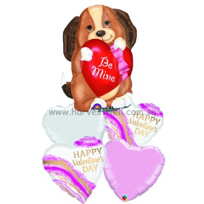 Be Mine Doggy Balloon Package Singapore