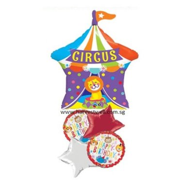 Circus Lion Birthday Balloon Package Singapore