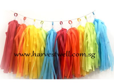 Rainbow Themed Tassel Garland Singapore