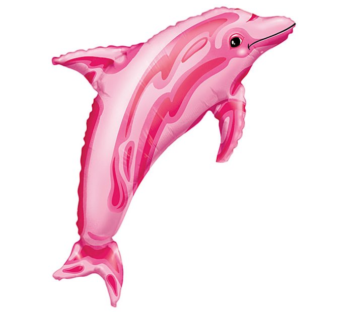 Dolphin Theme Balloon Value Package Singapore