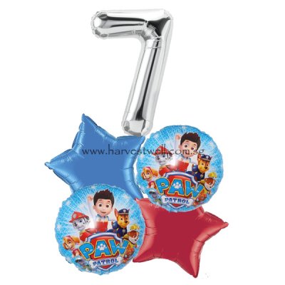 Paw Patrol Balloon Package Singapore
