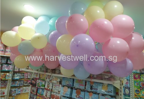 Macaron Helium Balloons