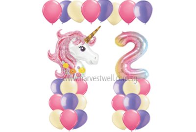 Unicorn Ombre Theme Balloon Value Package Singapore
