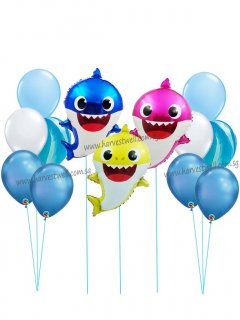 Baby Shark Theme Bundle Set