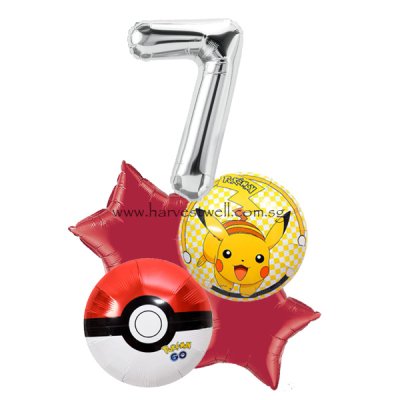 Pokemon Balloon Package Singapore