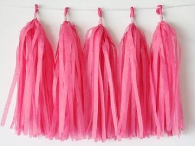 Hot Pink Tissue Tassel Garland Singapore