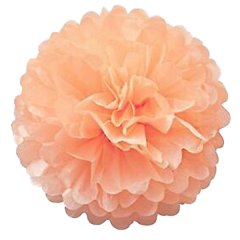 Peach Tissue Paper Pom Pom