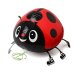 Lady Bug Walking Pet Balloon Lady Bug Walking Pet Balloon