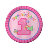 1st birthday girl party supplies