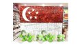 Singapore Flag Shimmery Wall with Balloon Garland Singapore
