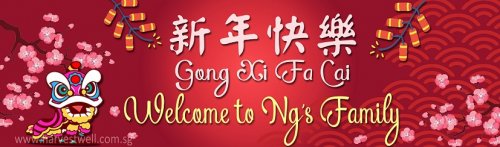 Chinese New Year Script Customized Banner