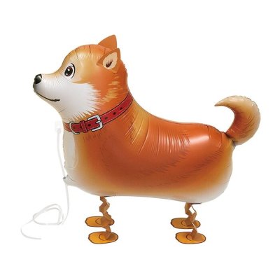 Shiba Inu Walking Pet Balloon Singapore