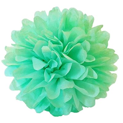 Mint Green Tissue Paper Pom Pom Singapore