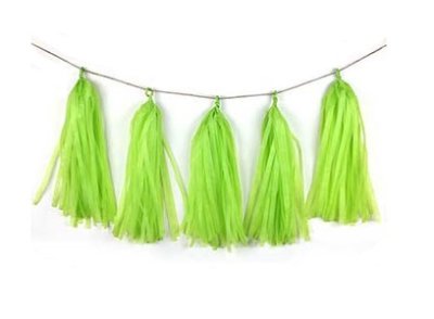 Lime Green Tissue Tassel Garland Singapore