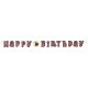 Lady Bug Birthday Jointed Banner