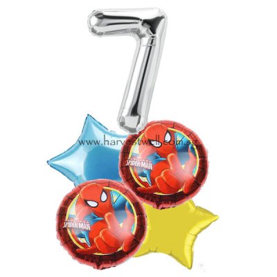 Spiderman Balloon Package Singapore