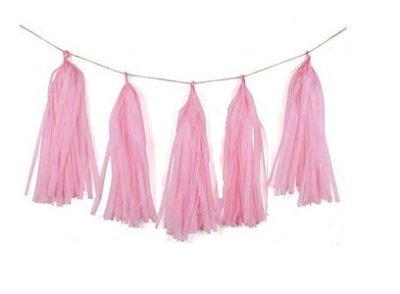 Baby Pink Tissue Tassel Garland Singapore