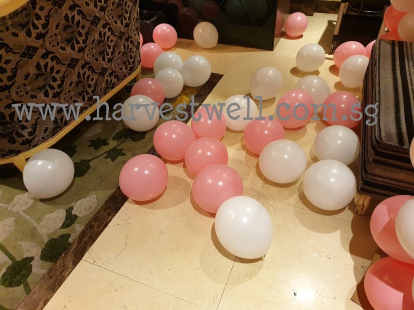 Balloon Pillars Decoration Package Singapore