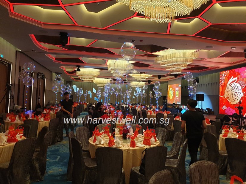 LED Bubble Balloon Singapore