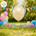 Ivory Balloon IN Balloon Singapore