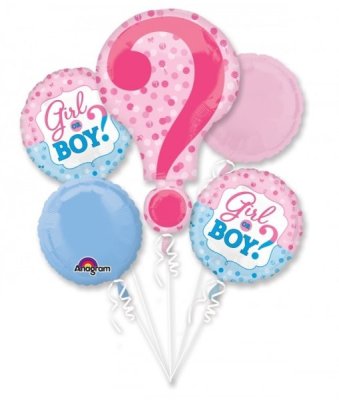 Guess Girl or Boy? Balloon Package Singapore