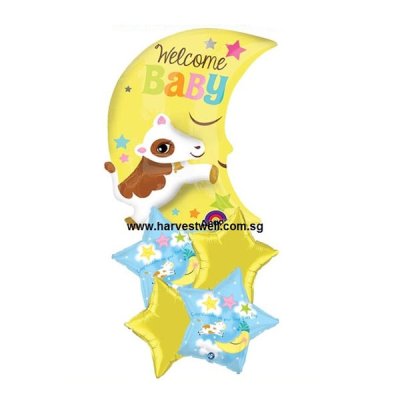 Congrats On Your New Baby Boy Multi Balloon Package Singapore