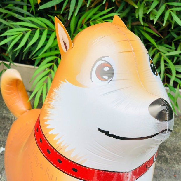 Shiba Inu Walking Pet Balloon Singapore