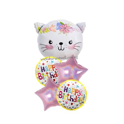 Cute Cat Party Birthday Balloon Package Singapore