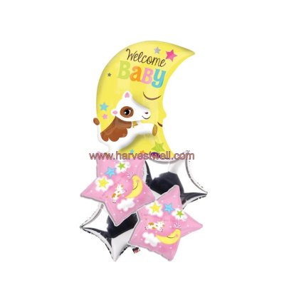 Congratulations on your new baby girl Balloon Bouquet Singapore