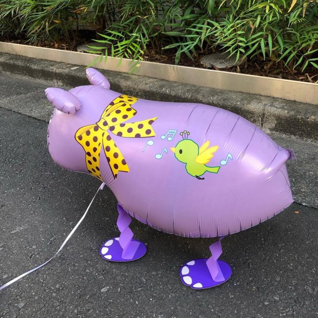 Hippo Walking Pet Balloon Singapore