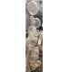 Single Bubble Strandy (Per Unit)