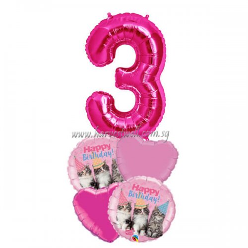 Adorable Cat Party Birthday Age Balloon Package