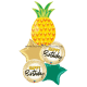 Pineapple Birthday Balloon Package